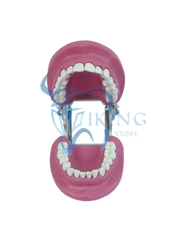 Cast With Articulator - EL Bana