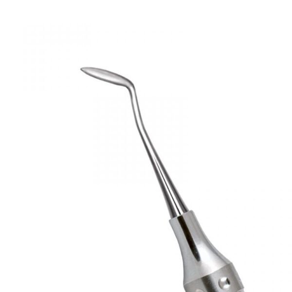 Amalgam Carver Pakistani